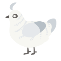 REREO, a white and mist chicken with a half-bar pattern