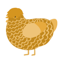 xxx gold, a ochre and honey chicken with a lace pattern