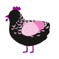 Know Star, a sable and pink chicken with a half-lace pattern