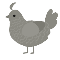 Metal, a ash chicken with a lace pattern