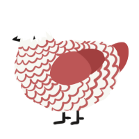 (unnamed), a white and red chicken with a lace pattern