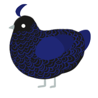 stormy ocean, a sable and navy chicken with a double-lace pattern