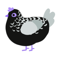 Marceline, a black and silver chicken with a half-lace pattern