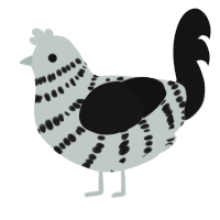 slate x herald, a silver and black chicken with a bar pattern