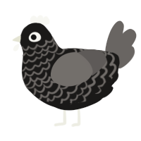 Ashen Beast, a sable and grey chicken with a lace pattern