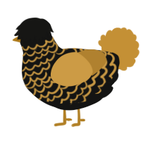 Temperance, a black and gold chicken with a lace pattern