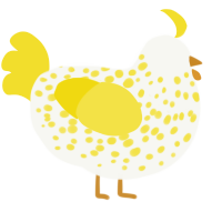 sunnyside, a white and yellow chicken with a speckle pattern