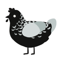 Ink, a black and silver chicken with a half-lace pattern