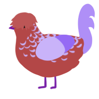 sunburnt and angry, a red and lilac chicken with a half-lace pattern