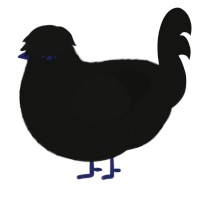 The Fiendslayer, a black chicken with a lace pattern