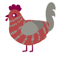 Nikola, a red and ash chicken with a bar pattern