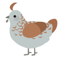 Mixed Rice, a silver and brown chicken with a half-lace pattern