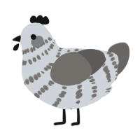 Pigeon, a mist and grey chicken with a bar pattern