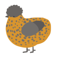 Nutmeg, a orange and grey chicken with a speckle pattern