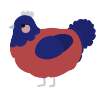 tomi, a red and navy chicken with a head pattern