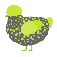 Naib, a grey and lime chicken with a speckle pattern