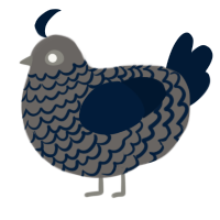 pretentious guy, a grey and tumblr chicken with a lace pattern