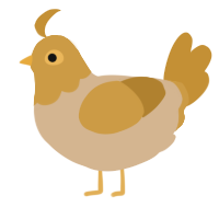 Chichi, a beige and gold chicken with a head pattern