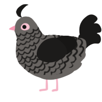 Pigeon6, a grey and sable chicken with a lace pattern