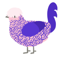 bald, a rose and indigo chicken with a double-lace pattern