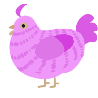 Dark Challenge, a lavender and orchid chicken with a bar pattern