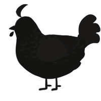 knight, a black and sable chicken with a half-lace pattern