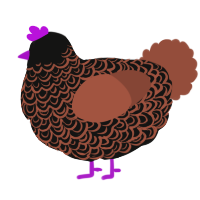 Poop, a black and russet chicken with a double-lace pattern