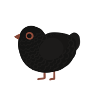 (unnamed), a black and sable chicken with a lace pattern