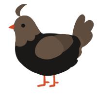 (unnamed), a sable and bark chicken with a head pattern