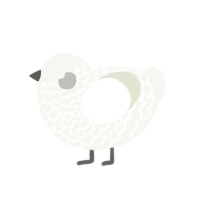 Spooky, a white chicken with a lace pattern