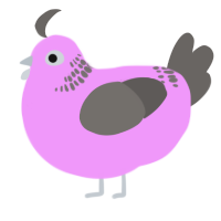 (unnamed), a lavender and grey chicken with a neck-band pattern