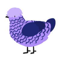 True Blurple, a lilac and navy chicken with a lace pattern