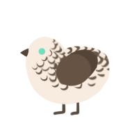 Cream, a cream and bark chicken with a half-lace pattern