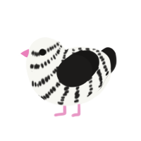 BirchTree, a white and sable chicken with a bar pattern