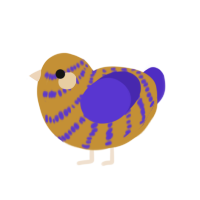 Shore Lilac, a gold and indigo chicken with a bar pattern