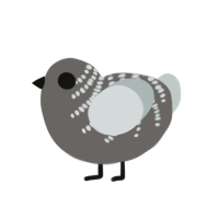 REORERE, a grey and silver chicken with a half-bar pattern