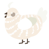 Disgrace, a cream and white chicken with a bar pattern