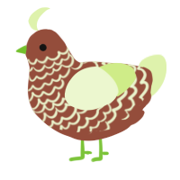 (unnamed), a russet and apple chicken with a lace pattern