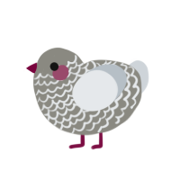 (unnamed), a ash and mist chicken with a lace pattern