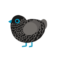 (unnamed), a sable and grey chicken with a lace pattern