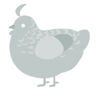 Forty Six n 2, a silver chicken with a half-lace pattern