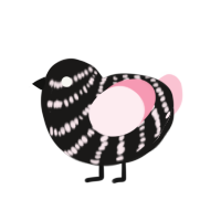 (unnamed), a sable and rose chicken with a bar pattern