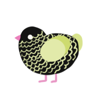 23555, a black and lemon chicken with a lace pattern