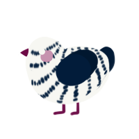 Blanc Snow, a white and tumblr chicken with a bar pattern