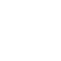 Flashbang, a white chicken with a bar pattern