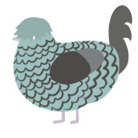 turquoise, a vermilion and beige chicken with a lace pattern