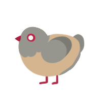 (unnamed), a beige and ash chicken with a head pattern