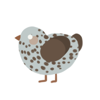 (unnamed), a silver and bark chicken with a speckle pattern