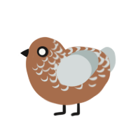 (unnamed), a brown and silver chicken with a half-lace pattern