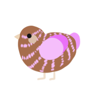 rose latte, a brown and lavender chicken with a bar pattern